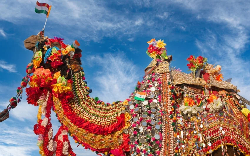 Bikaner Camel Festival